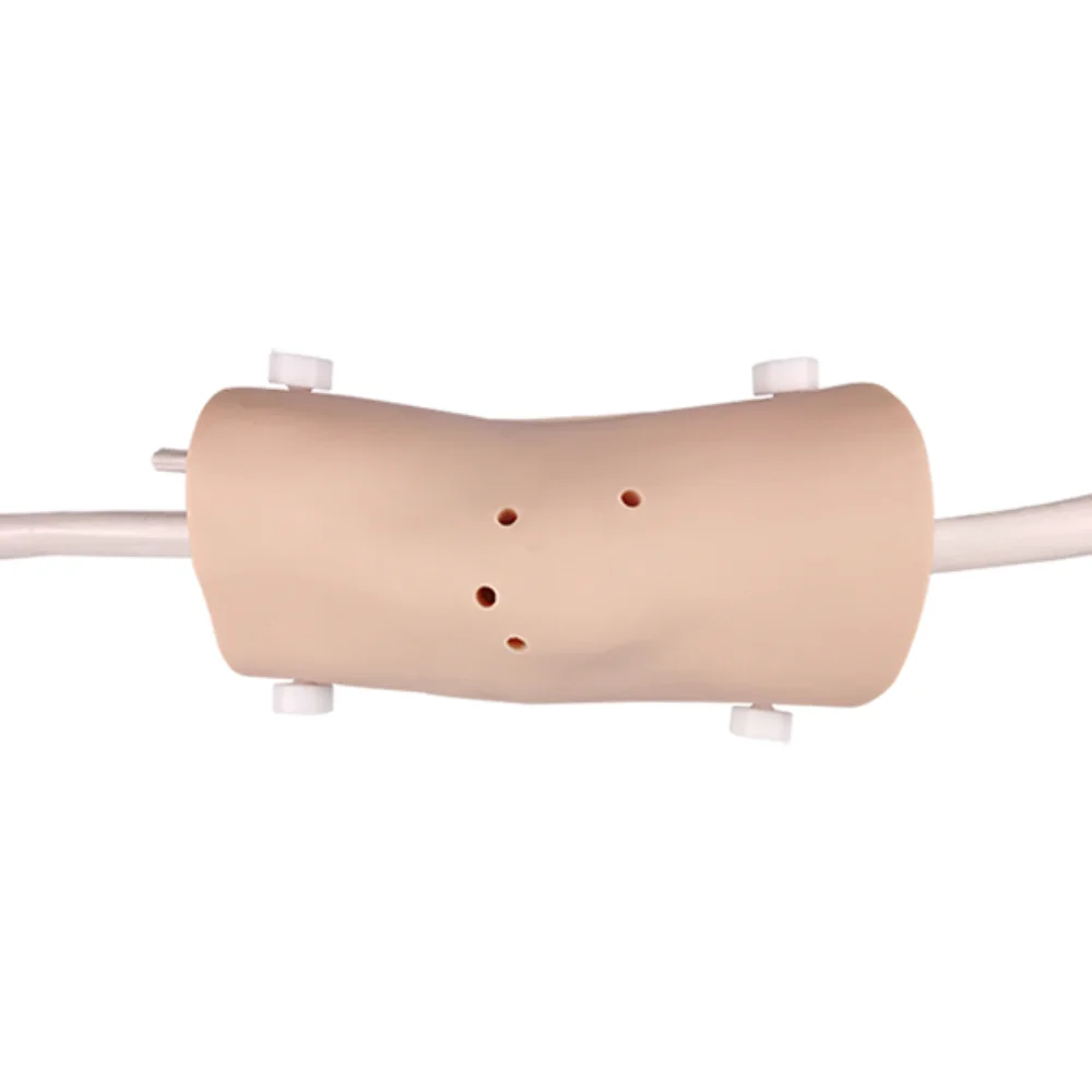 Knee Arthroscopy Model Medical Science Joint Injury Simulator Medico Surgical Operation Teaching Material for Medicine College