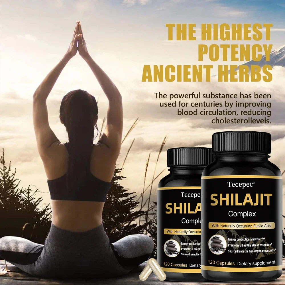 Shilajit Capsules, Endurance, Vitality, Brain Support, with Natural Fulvic Acid, 120 Capsules Dietary Supplement