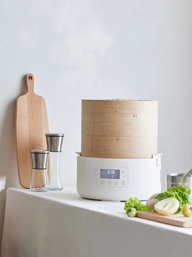 220V Olayks Electri…