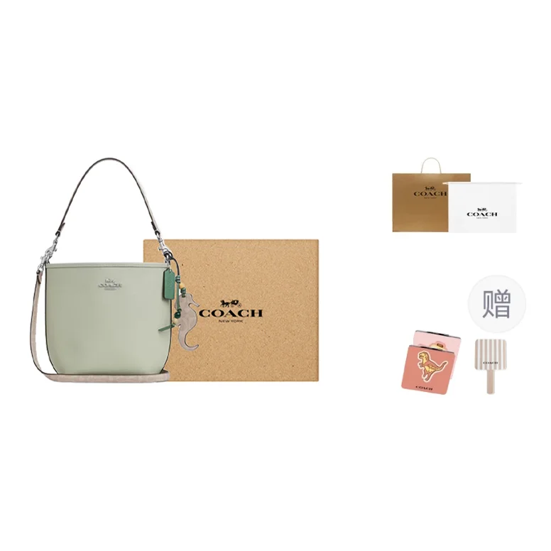 COACH City Bucket Leather With Print Coated Canvas Handbag, Shoulder Bag Small Women's Silver & Light Pistachio CBH75-SVY6O