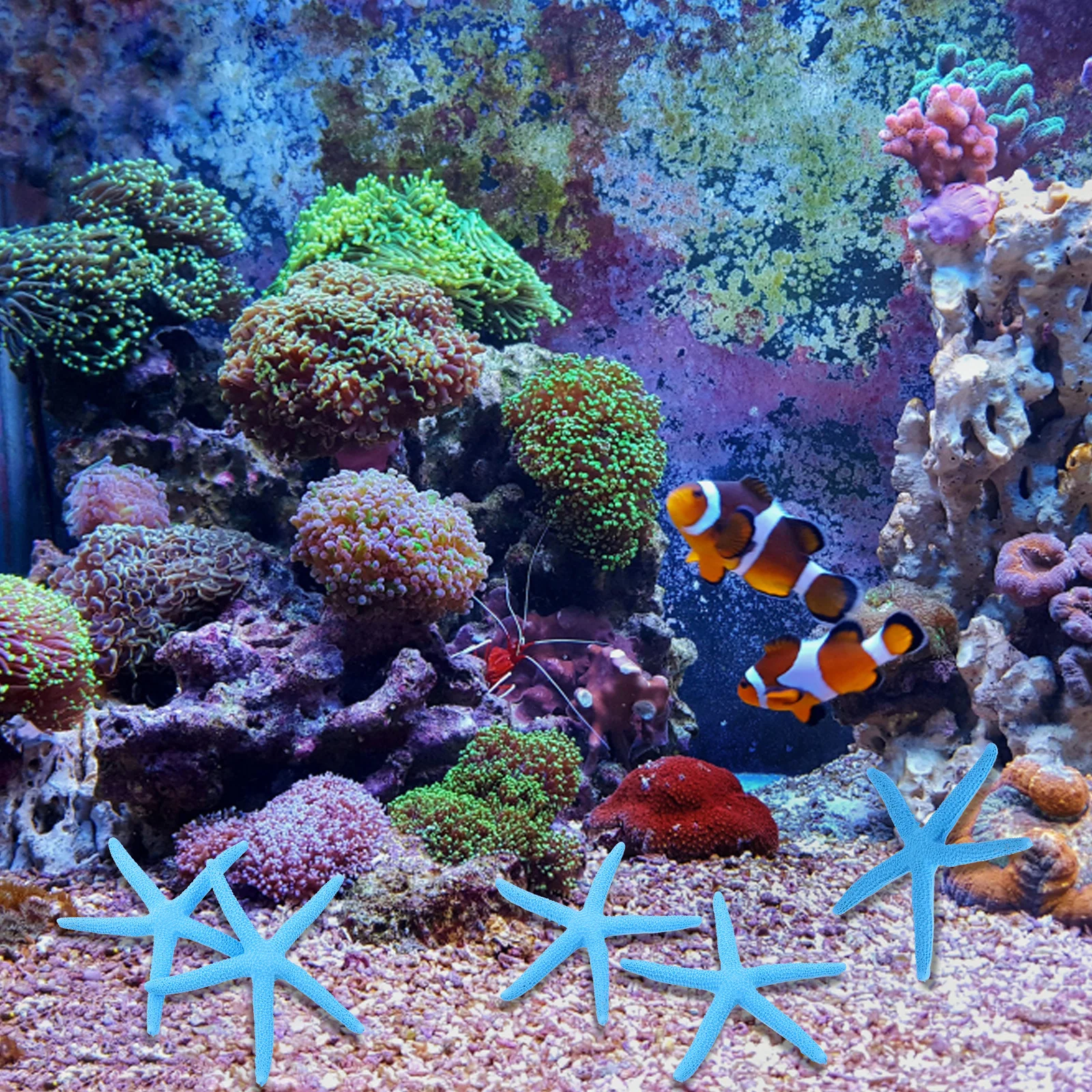 10Pcs Resin Sea Stars Artificial Fish Tank Adornment Vivid Colors Easy Clean Aquarium Decoration Resin Imitation