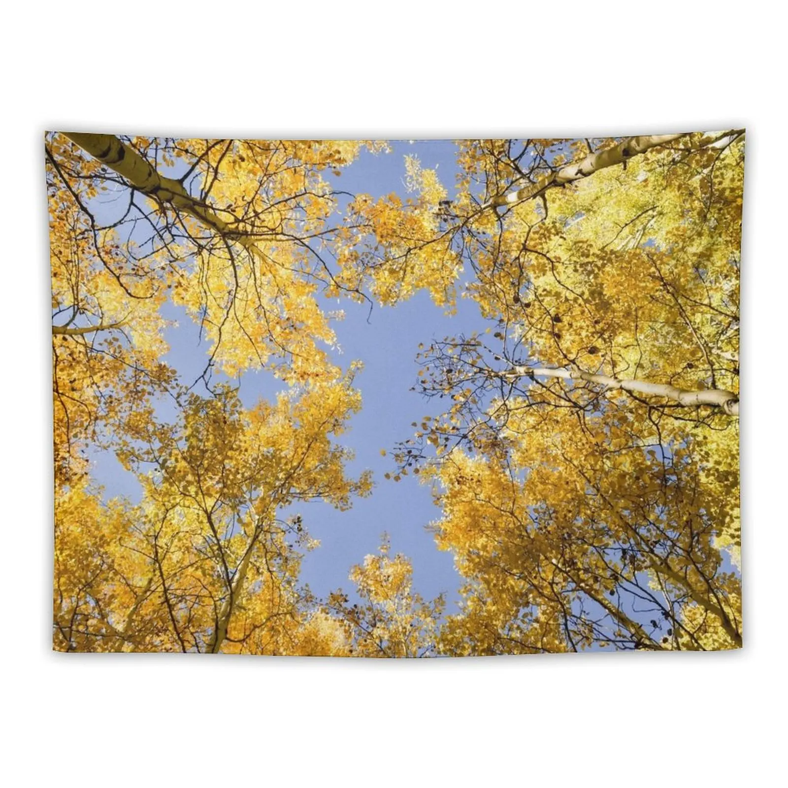 Through the Aspens Tapestry Room Decore Aesthetic Luxury Living Room Decoration Wallpapers Home Decor Tapestry