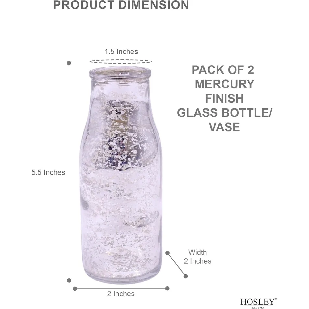 طقم مكون من قطعتين، زجاجات زجاجية فضية، بطول 5.5 بوصة، مزهريات مزخرفة.