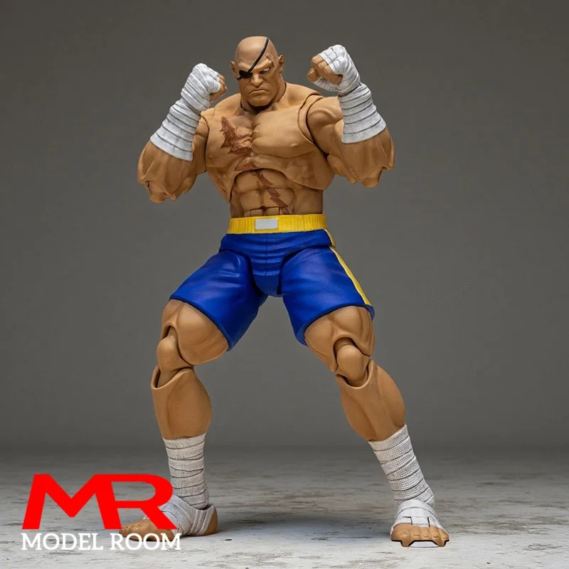

Storm Toys SFSA03 1/12 SAGAT Action Figure with Double Heads Mini Male Soldier Figurine Model Toy for Collection