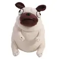 15cm