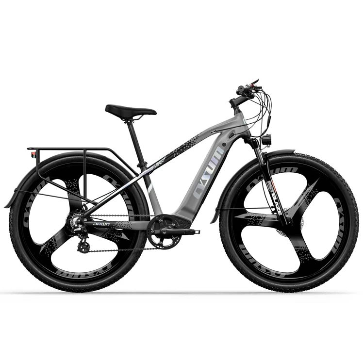 

48V 500W 14Ah Integrated Lithium Battery Bicycle Mountain Bike 29 Rear Hub Motor Magnesium 48v 500w 14Ah Bicicletas