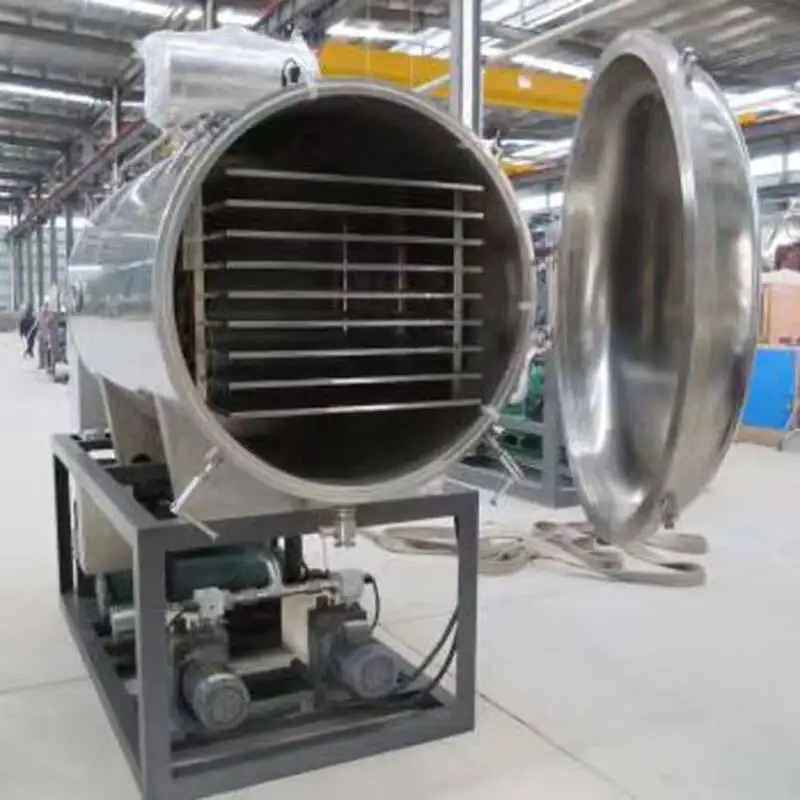 Vacuum Freeze Drying Machine Fruit Vegetable Food Lyophilizer Fully Automatic