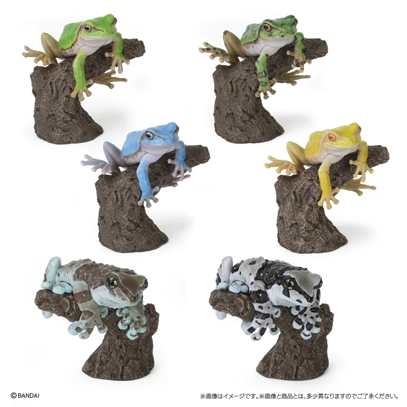 

Genuine Popularity Gacha Biographical Illustrated Rhacophorus and Milk Tree Frog Leaving Fingers Action Figure Model Toys