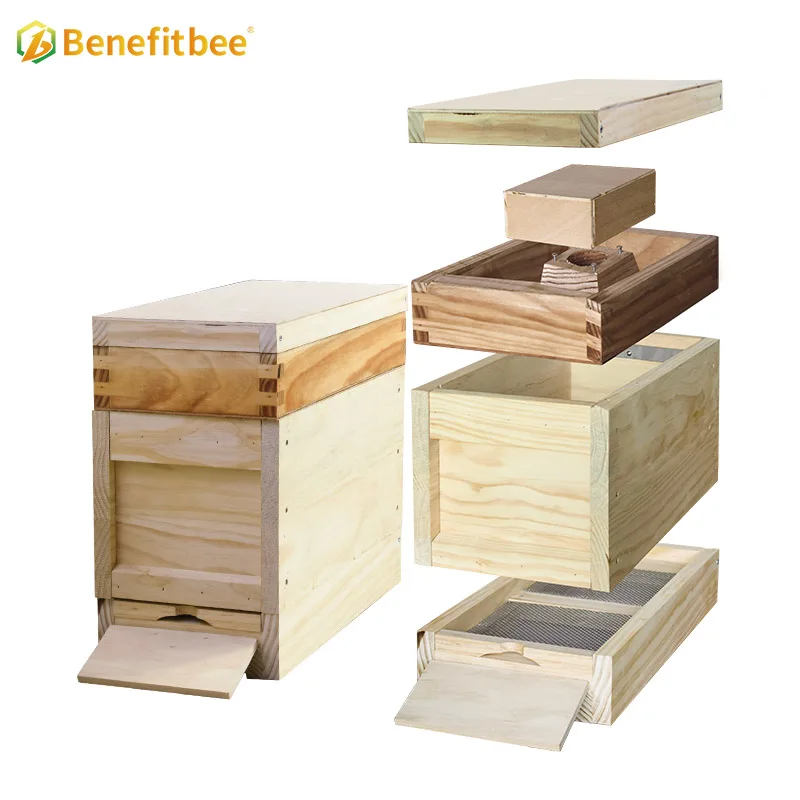 OEM Factory Apiculture Tools Mini Bee Hive Queen Bee Beehive