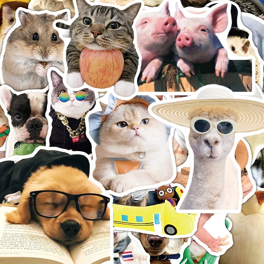 10/30/50pcs Cute Cartoon Mix Animals Meme Stickers Funny Expression Decals Notebook Phone Skateboard PVC Graffiti Sticker Toys