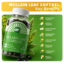 BEWORTHS 450MG Mullein Leaf Capsules Lung Detox & Cleanse Healthy Respiratory, Bronchial & Immune Function Herbal Supplement