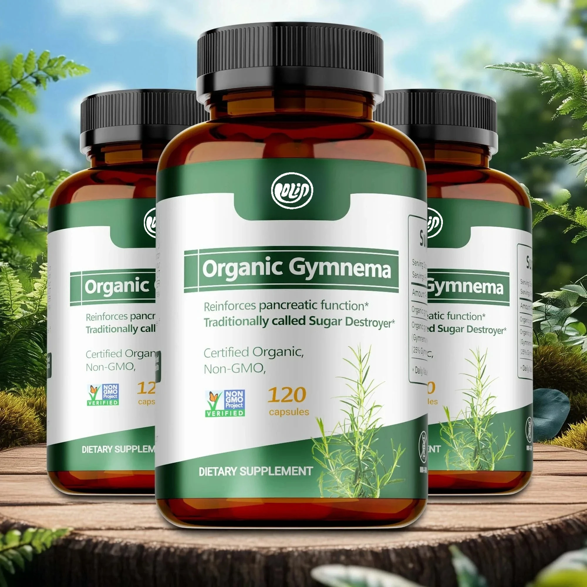 Organic Gymnema Supplement for Enhanced Pancreatic Function Intestinal Health & Absorption Non-GMO Health Balance Support