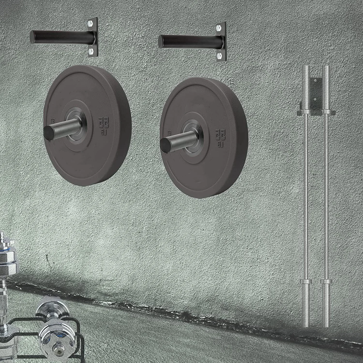 Wall Mounted Barbel…