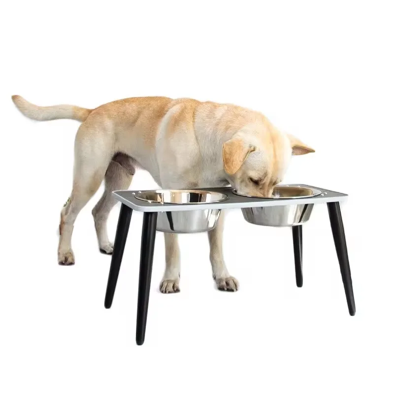 

Pet Feeder Raised Bowl Elevated Stainless Steel Dog with 2 s