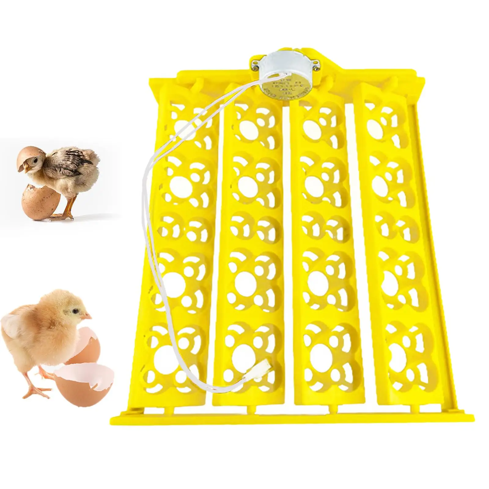 Egg Incubator Tray Egg Turner Tray Egg Hatcher Machine 16 Eggs Turner Tray Egg Incubation Tray for Chicken Birds Quail