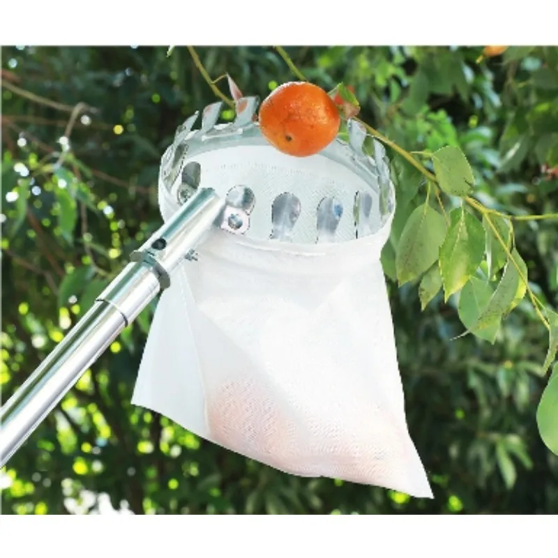 أداة حصاد معدنية خفيفة الوزن قابلة للتمديد 3.6 متر للتفاح والمانجو والليمون والبرتقال وتصميم مريح #5