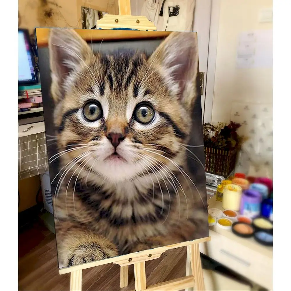 PhotoCustom Cat Oil Painting By Number Set On Canvas Frame Acrylic Paint Animal For Adult Picture Drawing Coloring By Numbers Ki