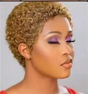 Short Afro Kinky Curly Hair Wigs For Black Women Human Hair African Fluffy Wig Brazilian Pixie Cut Hair Wigs Machine Made