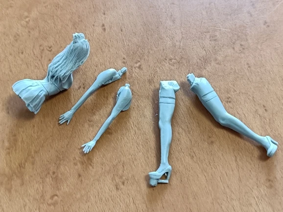 Buyer photo of this resin kit