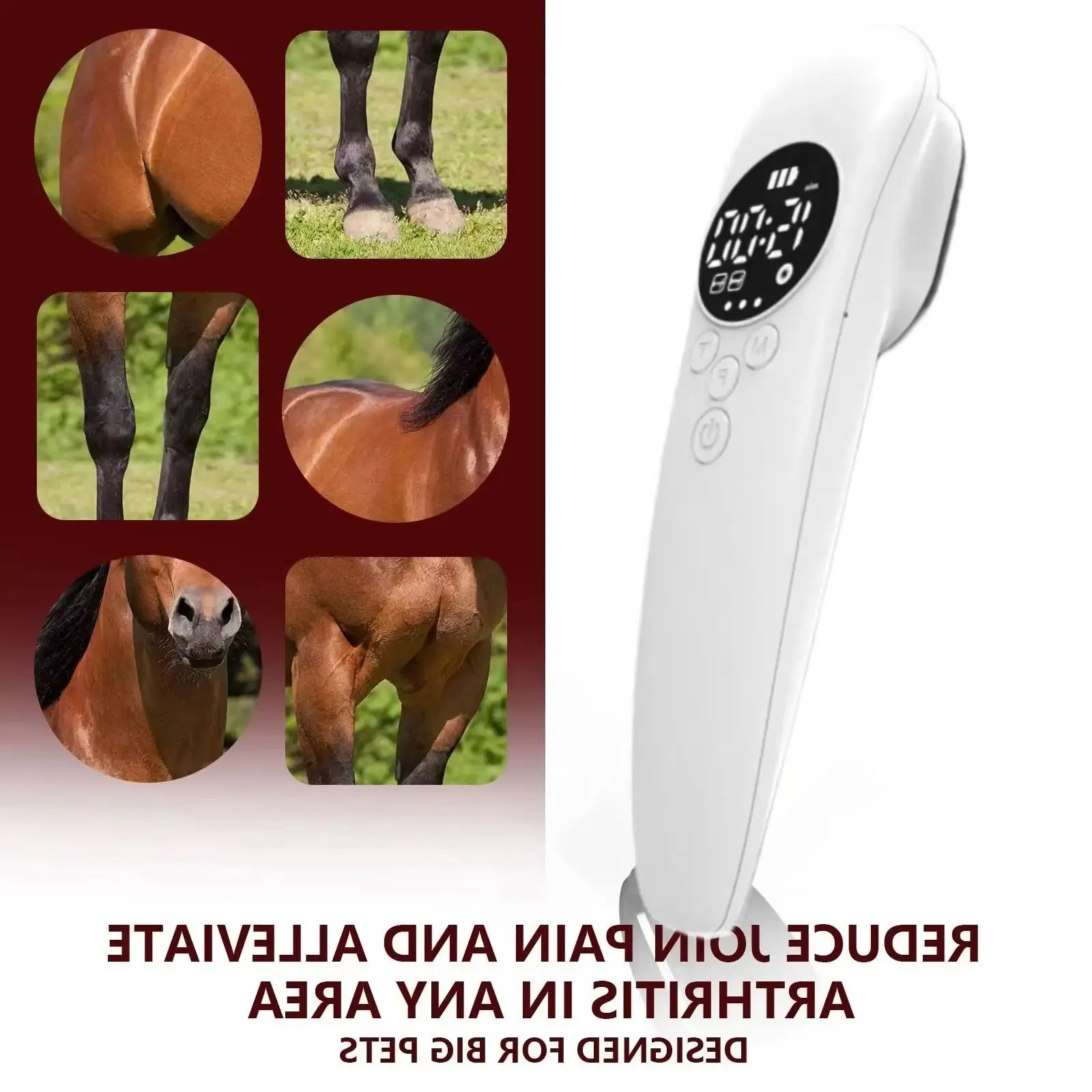 

High Power 808nm Laser for Horses - Deep Penetration for Stiffness, Sprains & Post-Training Recovery - Wireless Operation