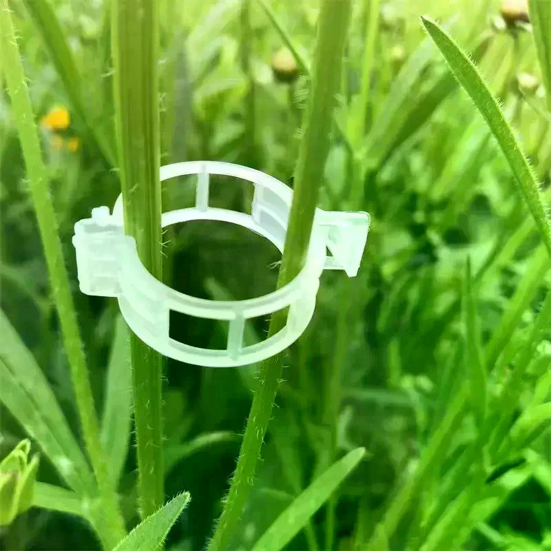 Plastic Plant Support Clips,Plastic Clips For Securing Plants,Tomato Vine Clips,Plant Fixing Clips,Garden Clips For Climbing