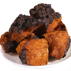 100% Changbaishan Wild Birch Brown Hole Fungus,Chagas Mushroom Black Gold Birch Antler,Chopped Granules Used for Incense Making