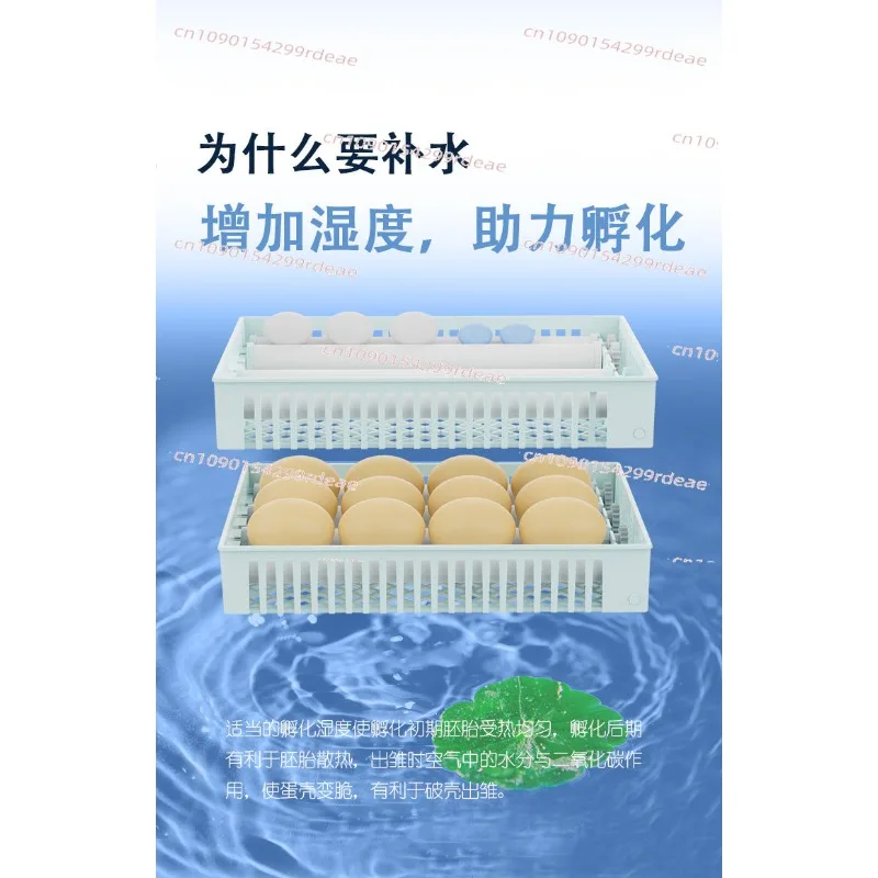Automatic Egg Incubator Digital Temperature Control Auto Turner Hatching Equipment Poultry Breeding Tool 50 pieces