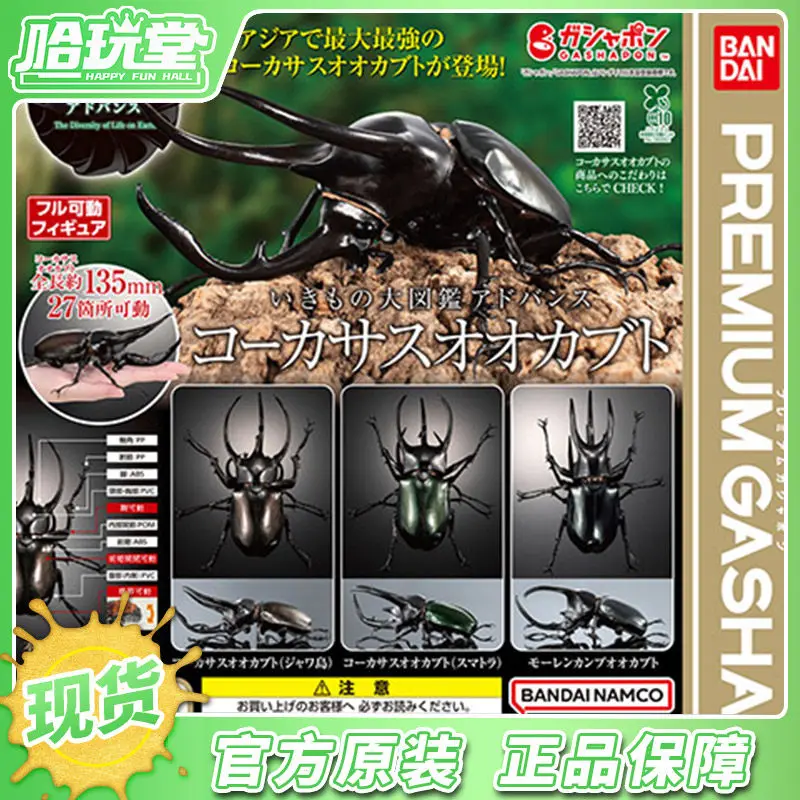 Bandai Giant Beetle Model Simulation Insect Chalcosoma Atlas Caucasus Gashapon Collectible Desktop Ornament For Adult Collectors