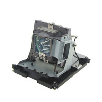 BL-FU310B / 5811118436-SVV Accessories of projector lamp fit for OPTOMA EH500 X 600 for Vivitek D968U D-968U D966HD D-966HD D967