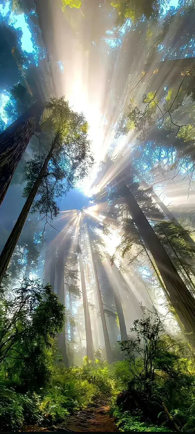 

Android14 256GB Auto Car Radio For Crown Kluger Toyota Highlander Car Multimedia Player Androidauto Apple Carplay Player