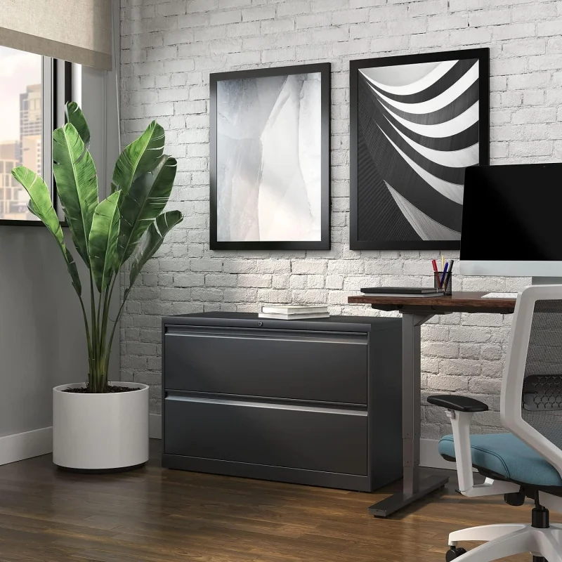 

2-Drawer Lateral File Cabinet, 42x18.6x28.1, Home Office Storage Letter/Legal/A4