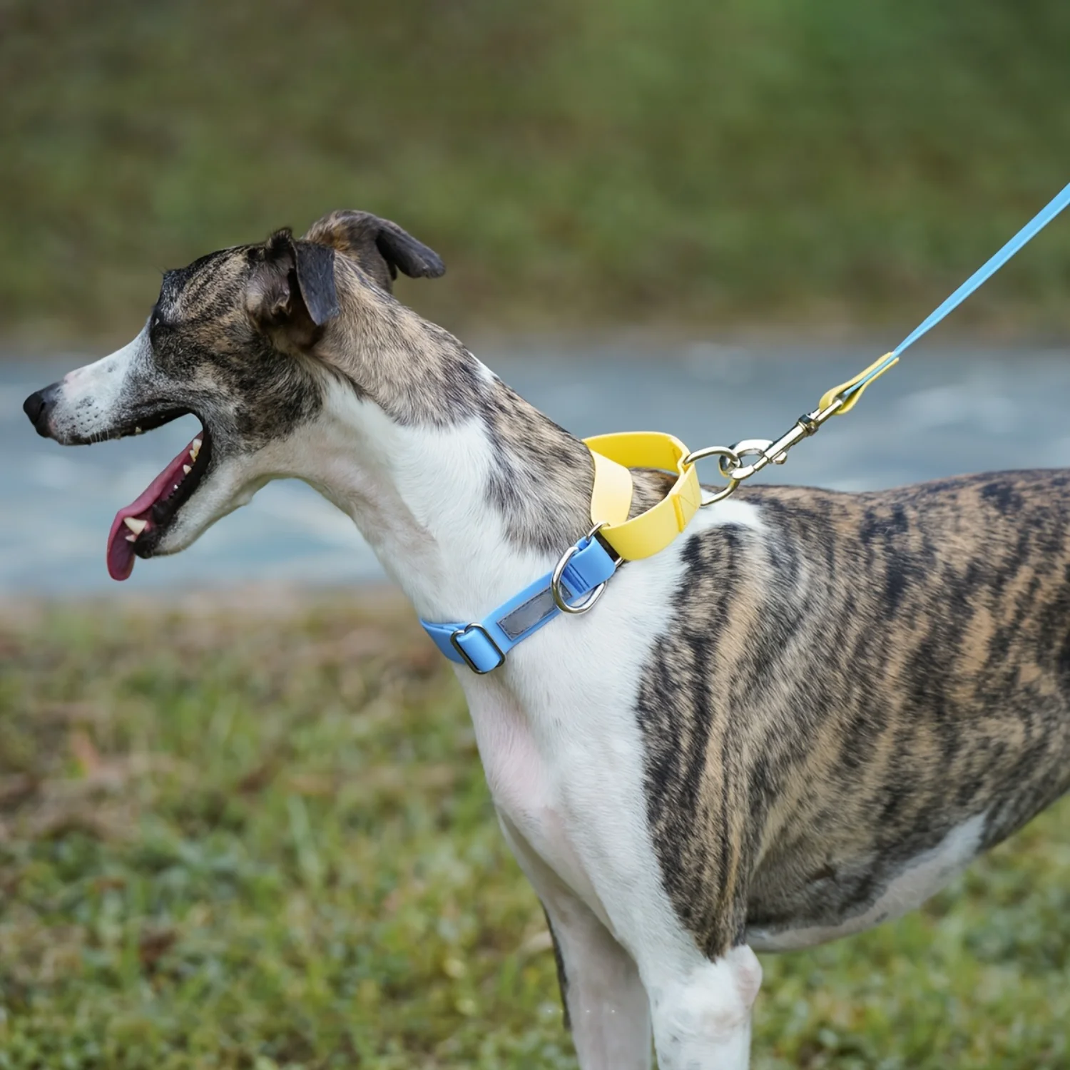 1pc PVC Pet Comfortable Soft Collar, Adjustable Dog Collar With Lesh Set Pet Accessories