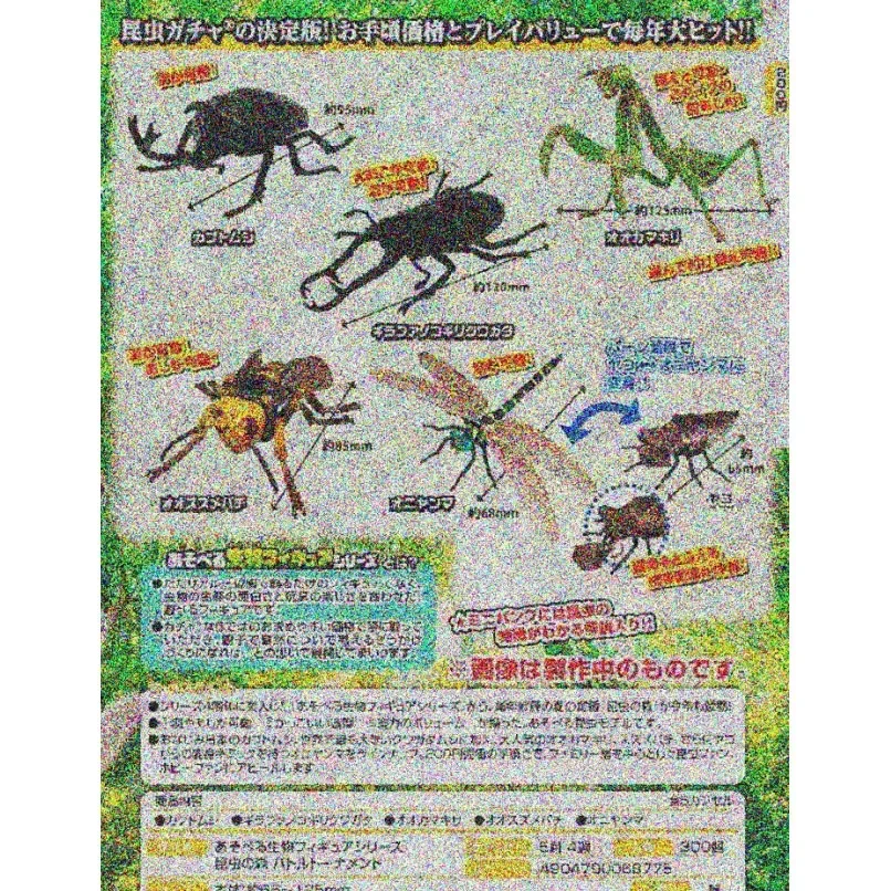 Japanese Real Edition Twisted Egg Scale Model Simulation Insect Map Dragonfly Beetle Wasp Twist Egg Desktop Collection