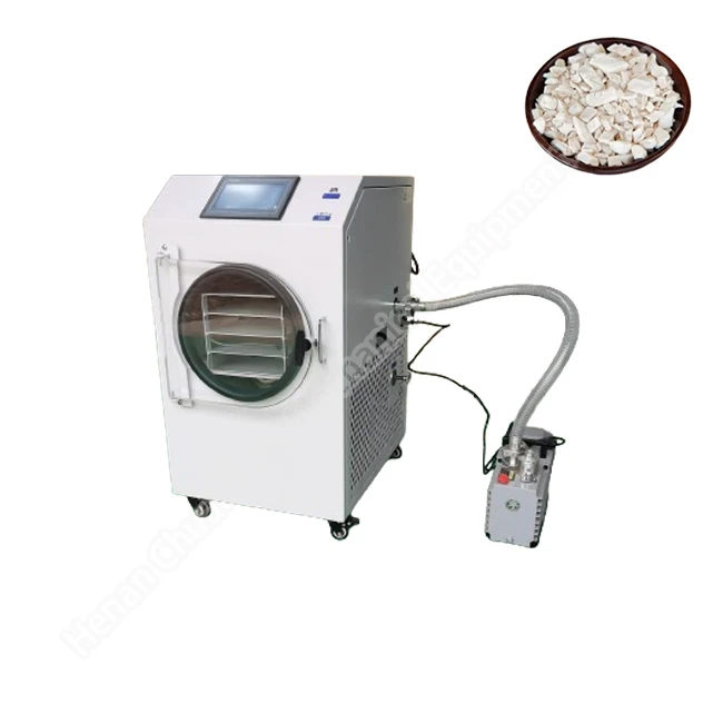 Freez Competitive Price Mushroom Lyophilizer Dry Machine Fruit Food Freeze Dryer