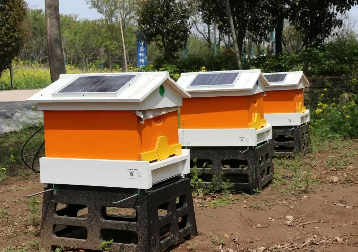 

Automatic Self-Flowing Bee Hive Apiculture Beekeeping Beehive Bee Hive Fully Automatic Intelligence