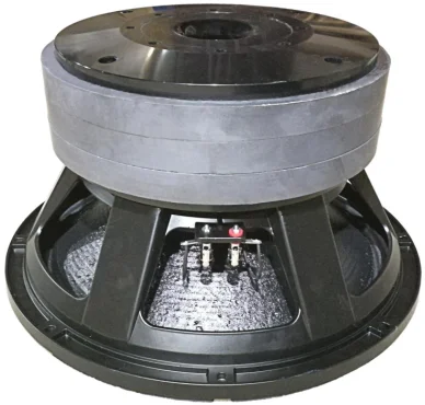 

6000W Super Power 18 Inch Audio Loudspeaker Manufacturer Professional Audio 18 Inch Subwoofer For OUTDOOR SPEAKER PA SYSTEMS