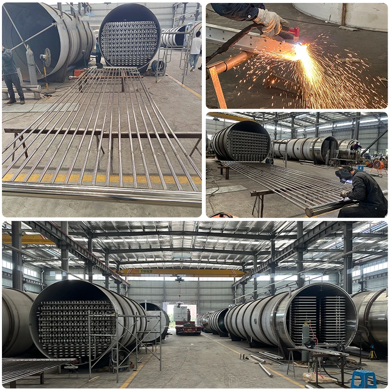 Industriale 2m2 20kg 3m2 30kg 5m2 50kg Laboratorio Liofilizzatore Alimenti per Animali Domestici Frutta Verdura Liofilizzatori Macchina per Liofilizzazione