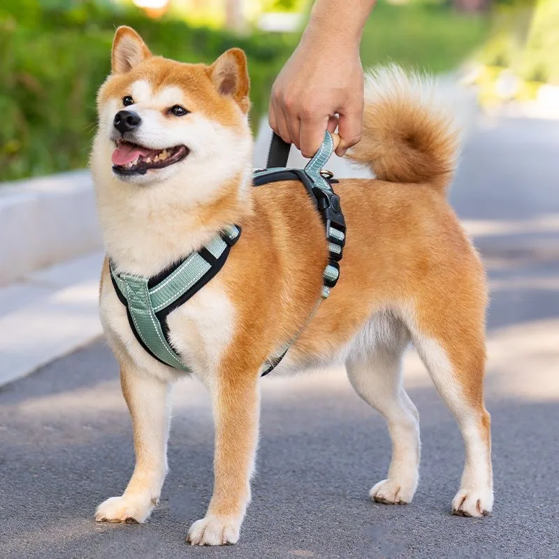 손잡이가 달린 강아지 하네스, 소형 중형견 산책 하이킹, 애완 동물 하네스, 당기지 않음, 마스코트 용품, Corgi Shiba Inu Pug 