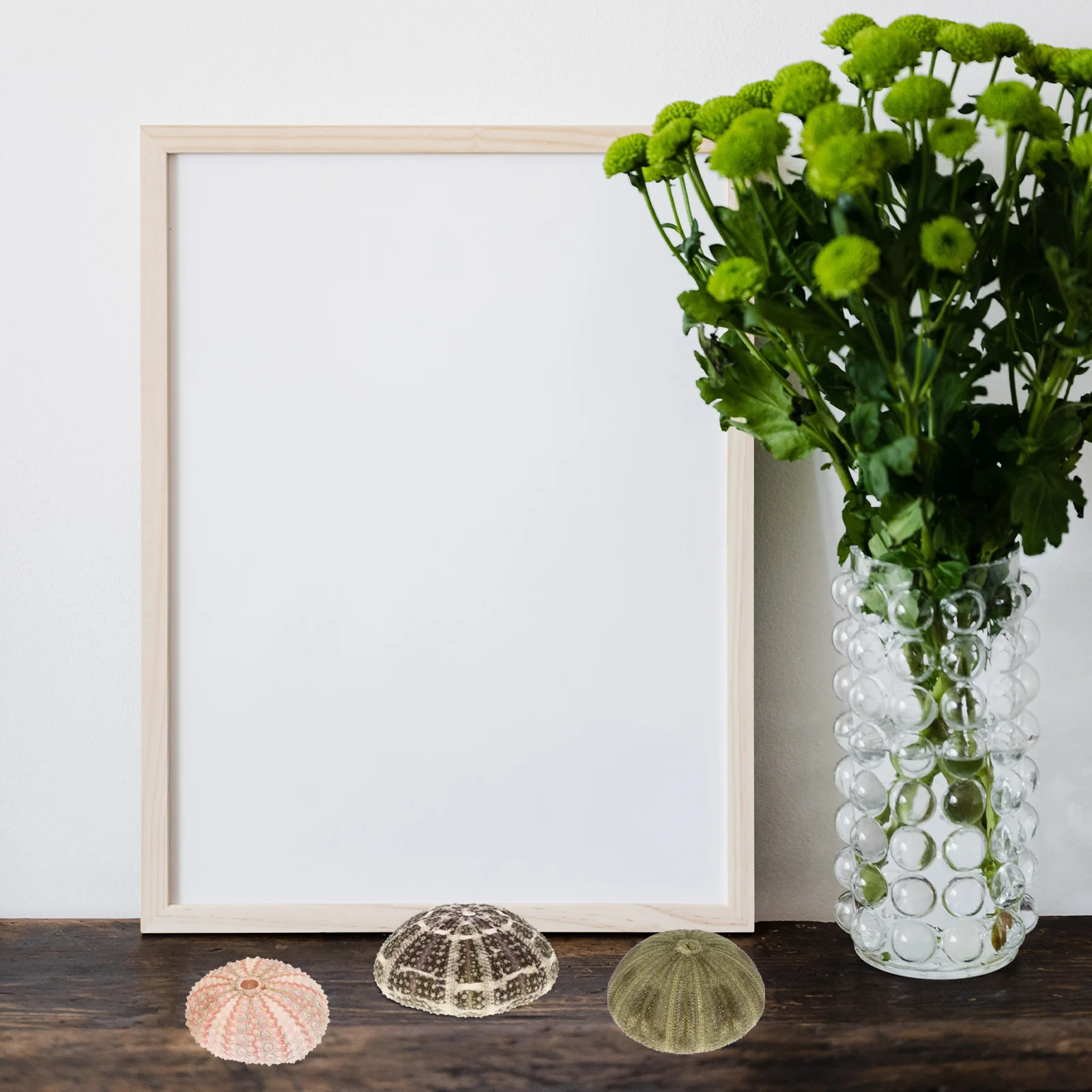 

6Pcs DIY Sea Urchin Shell Ornaments for Crafts and Miniature Flower Pot Decor Sea Urchin Decor Air Plant Pot Fish Tank Decors