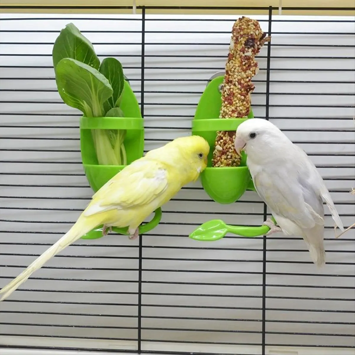 2026 Trend Bird Cage Feeding Rack Vegetable Fruit Cuttlefish Skeleton Suitable for Parrots Budgies Parakeets Cockatiels