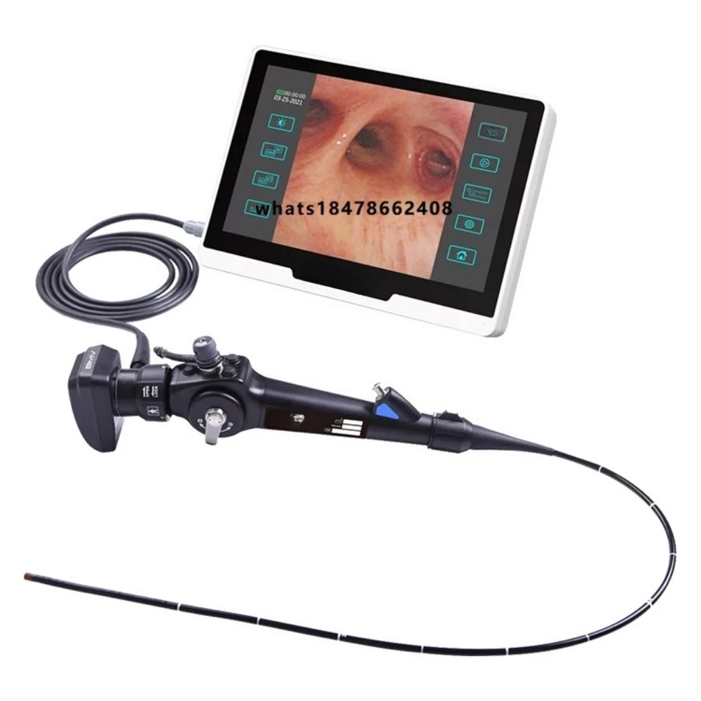Veterinary endoscope for dogs without fiber optics, suitable for bronchoscopes, ureteroscopes, gastroscopes, with touch screen