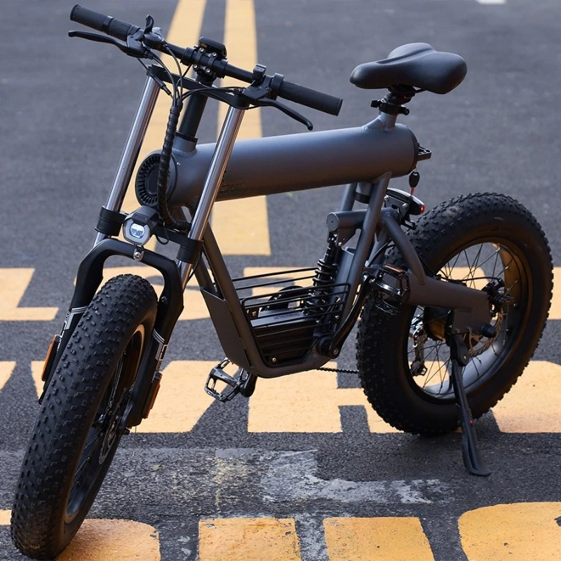 

Lithium battery off-road electric bicycle power scooter beach mountain bike motorcycle