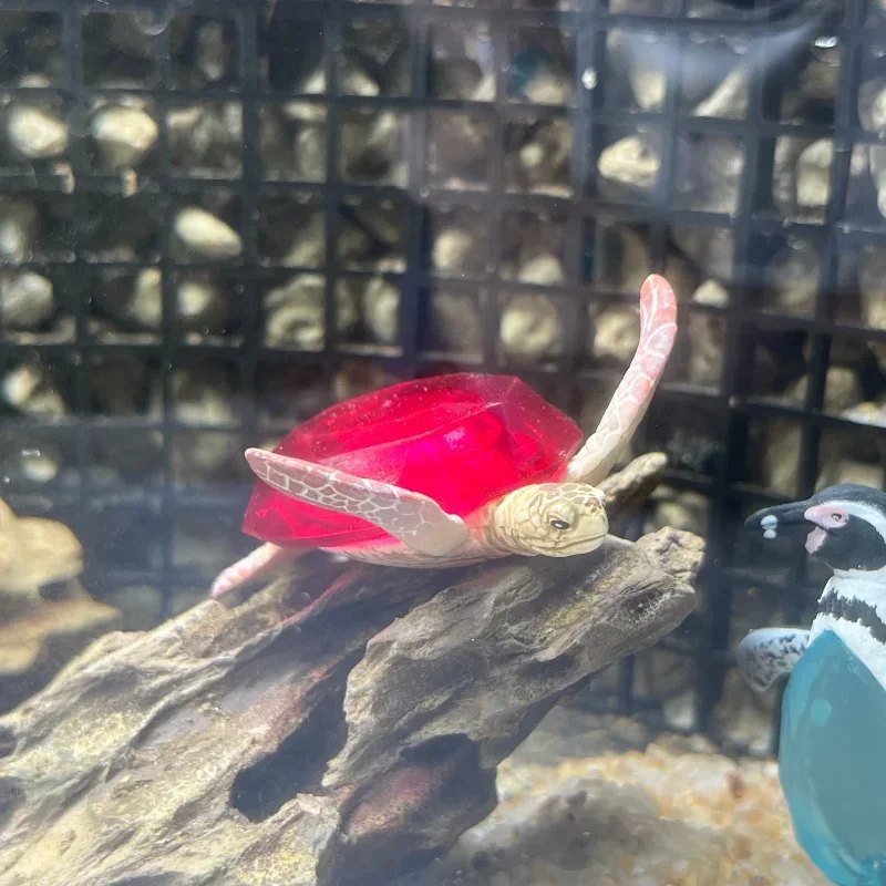 Stasto Originele Gashapon Kawaii Animal Love Series Gem Organisme Figuur Leuke Gacha Beeldje Anime Decor Capsule Speelgoed