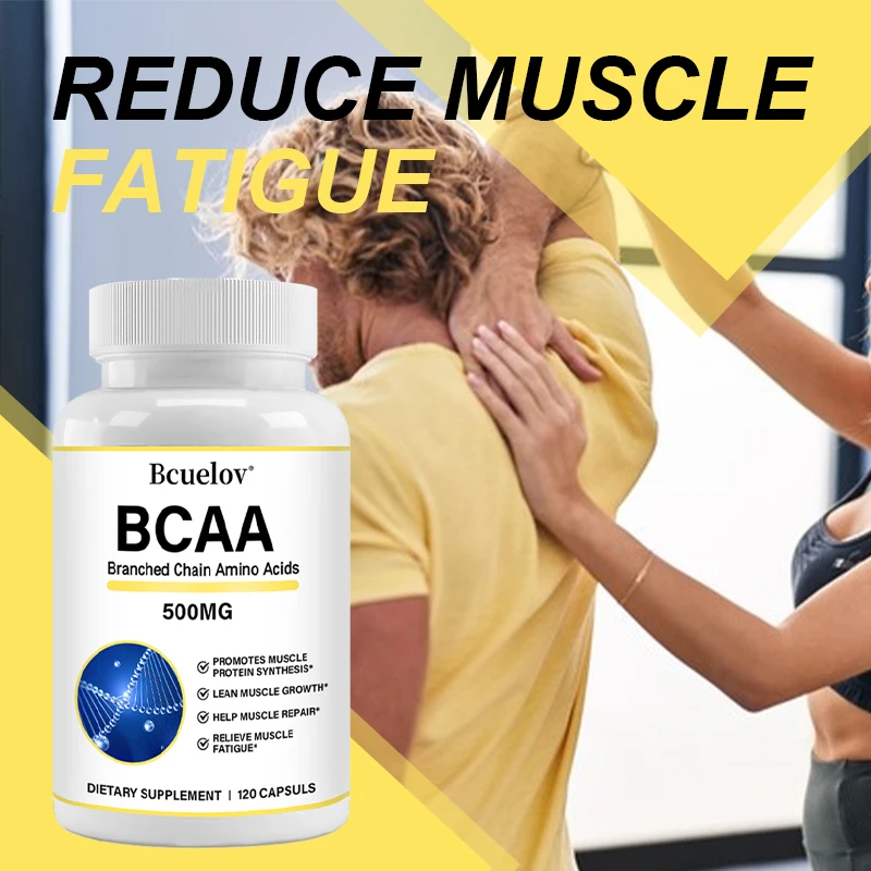 Bcaa Sports Nutrition Supplement, Muscle Synthesis, Fat Burning, Endurance Support