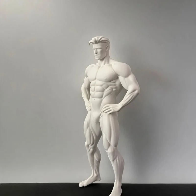 Realistic Muscular Male White Model 3D Printed Desktop Decoration Item 20cm Bodybuilding Statue Decorative Item