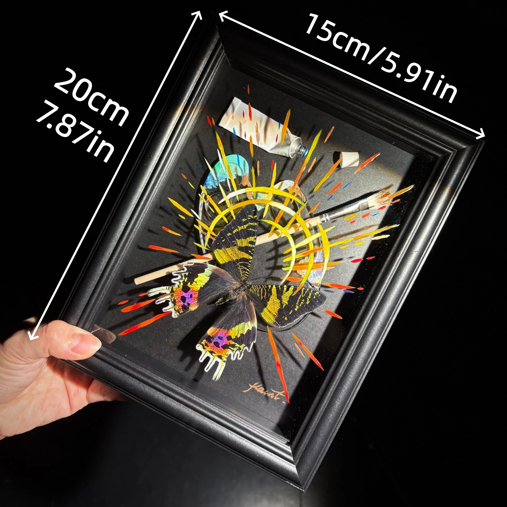 2156 Unique Handmade Sunset Moth Specimen Style Artwork Framed Hand Painted Craft Decor Gift for Art Enthusiasts Home Office