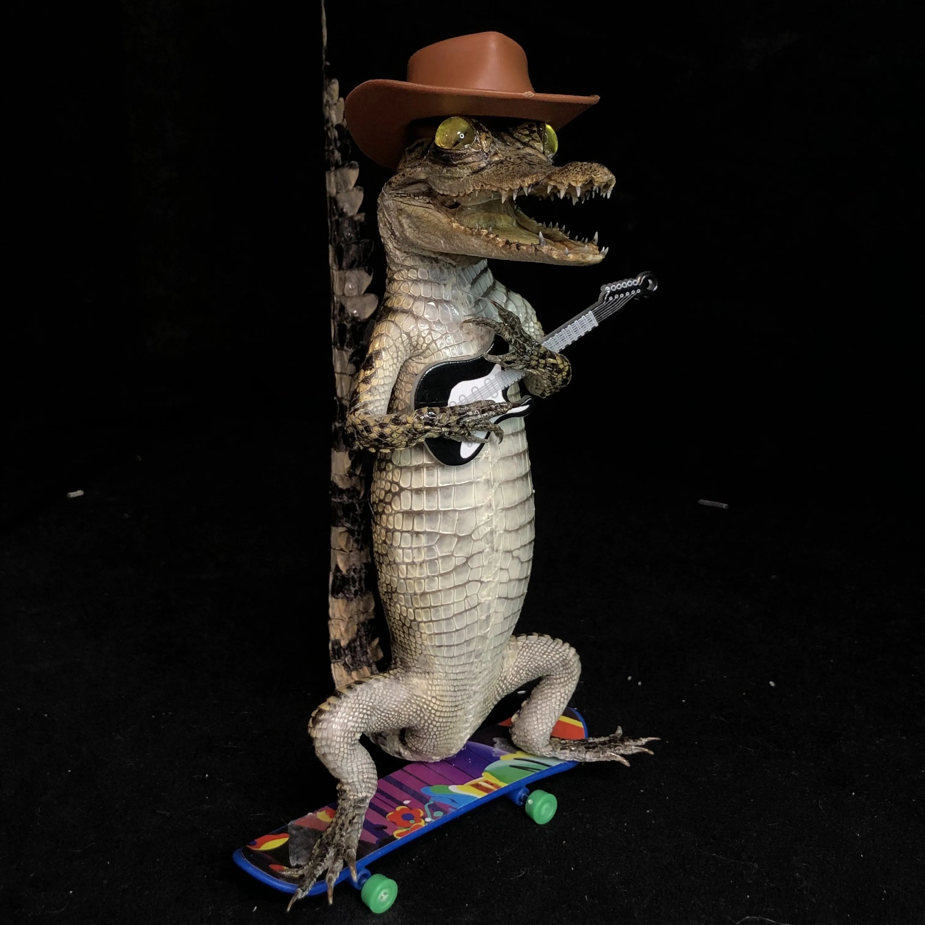 0000 إعادة إصدار البضائع المفقودة يرجى عدم شراء سلع خاصة لعملاء خاصين. لن يتم شحنها بعد الشراء