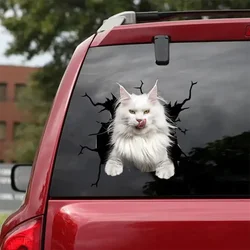 Calcomanía de gato de Maine Coon-se adapta a coches, ventanas, ordenadores portátiles y cualquier superficie lisa, pegatinas de gato de Maine Coon, pegatinas para mascotas, palo de gato personalizado