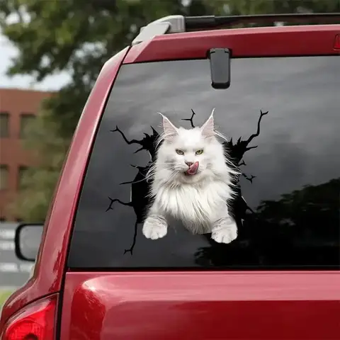 Maine Coon Cat Decal - fits cars,Windows,Laptops and any smooth surface, Maine Coon Cat Stickers, Pet Stickers, Custom Cat Stick