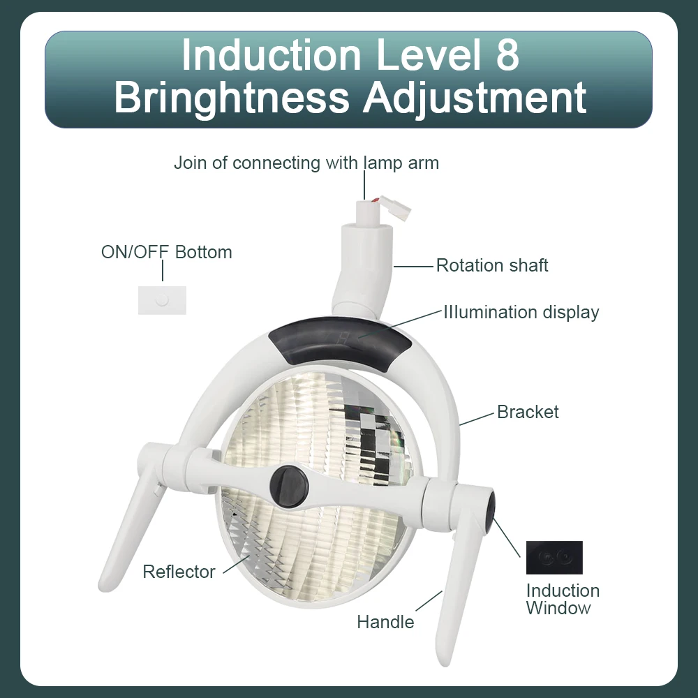 Dental Oral Lamp Induction Operation LED Lamp Sensor Reflective LED Light